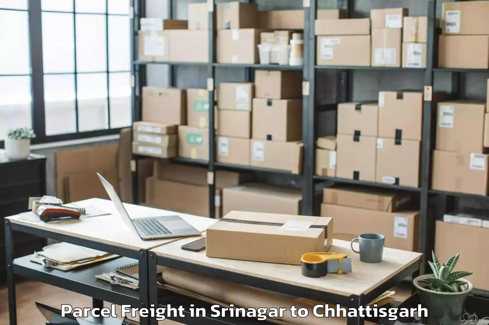 Top Srinagar to Champa Parcel Freight Available